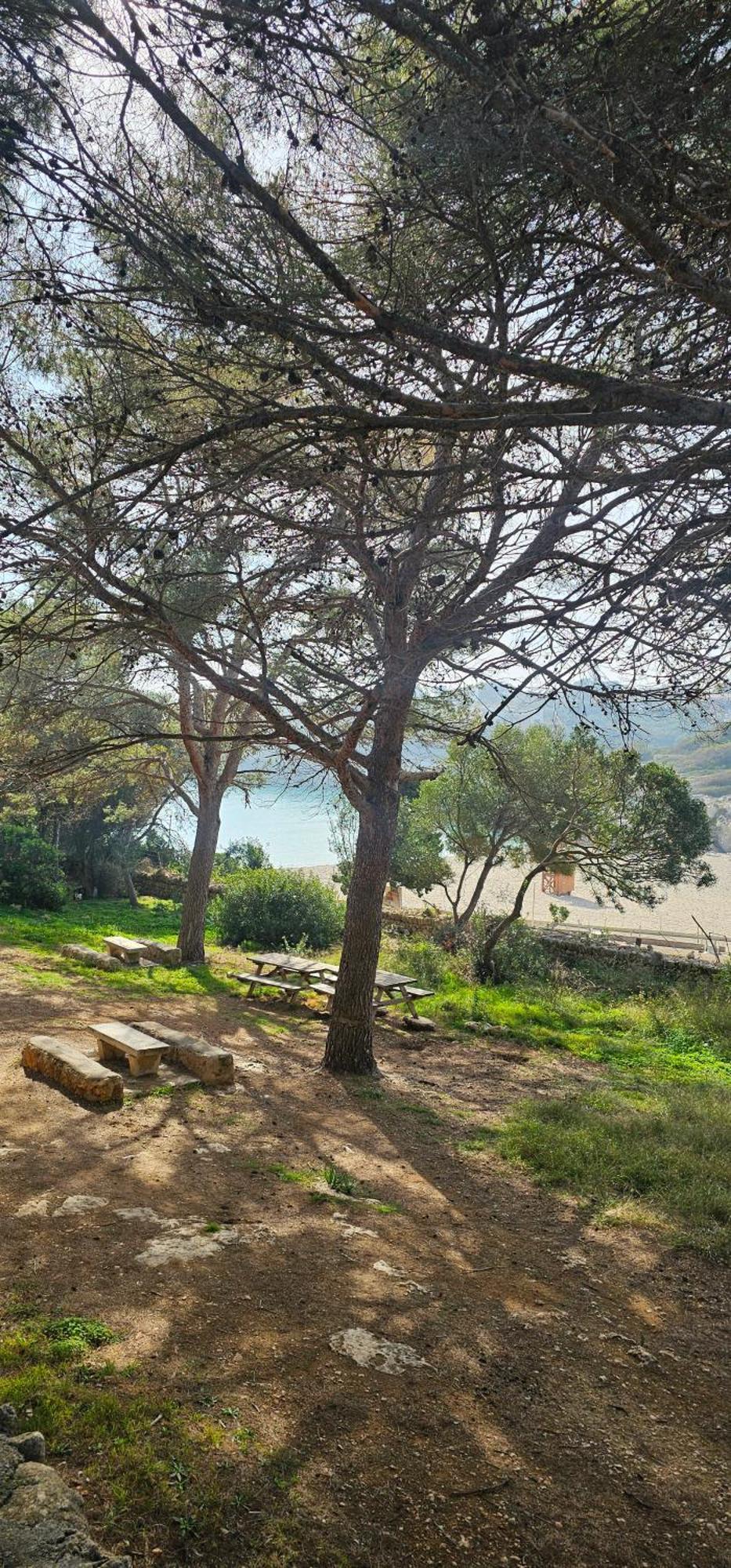 Casa Domingos Cales De Mallorca Екстериор снимка